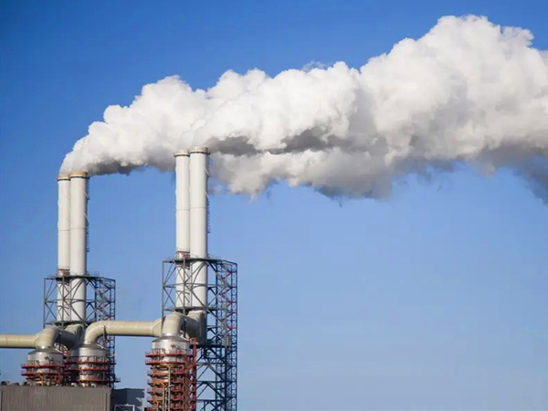 三甲苯世界杯（中国）怎么处理