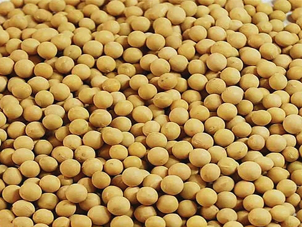 大豆油脂世界杯（中国）处理工艺